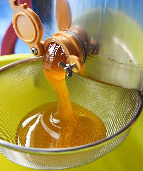 内田養蜂園の非加熱生はちみつ「grand honey」グランハニー | GIFTLIER